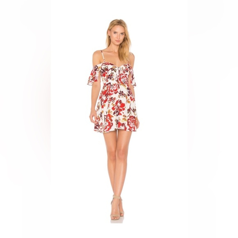 Lovers + Friends All Over Dress